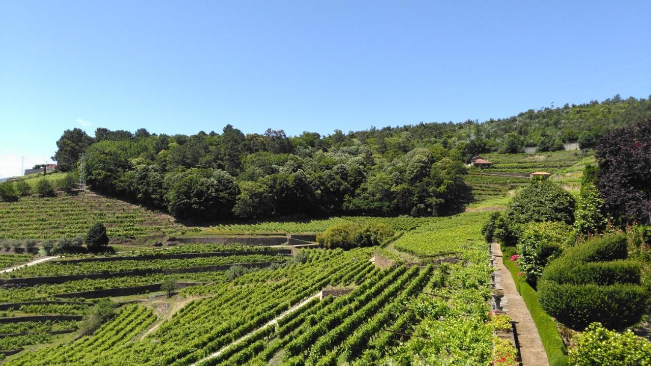 Quinta De Santa Julia Villa Peso da Regua Bagian luar foto