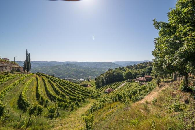 Quinta De Santa Julia Villa Peso da Regua Bagian luar foto