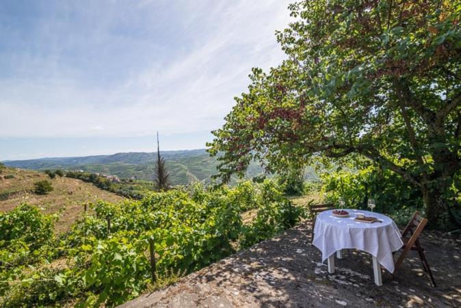 Quinta De Santa Julia Villa Peso da Regua Bagian luar foto