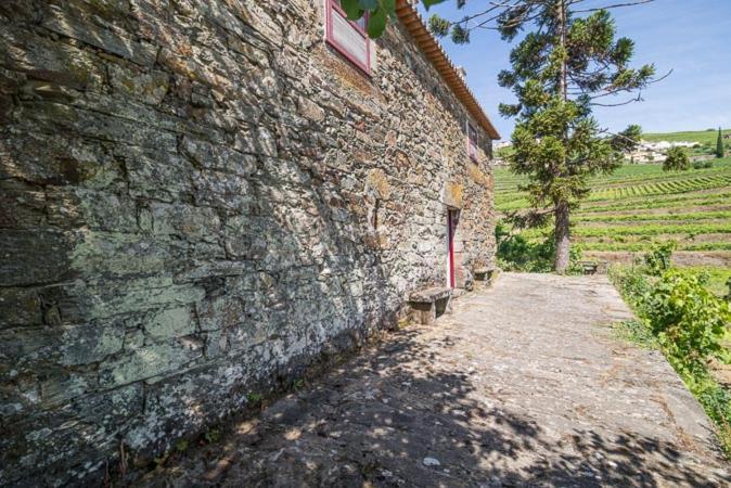Quinta De Santa Julia Villa Peso da Regua Bagian luar foto
