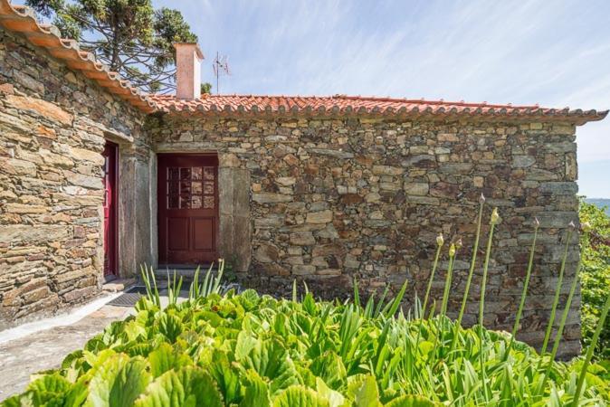 Quinta De Santa Julia Villa Peso da Regua Bagian luar foto
